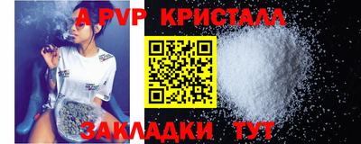 СК Бийск