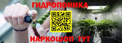 СК Бийск