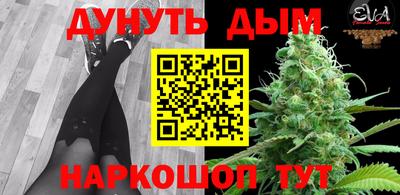 СК Бийск