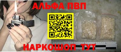 СК Бийск