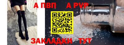 СК Бийск